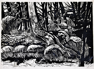 Image of Pickle Springs woodcut by Jerry B. Walters.
